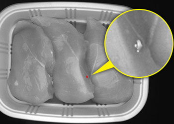 Automated meat and poultry inspection – tracepack